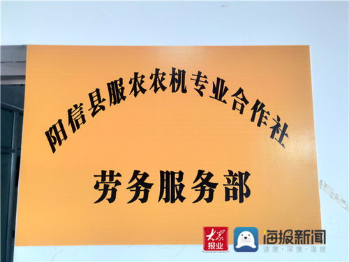合作社里的新引擎 陽信流坡塢鎮組建勞務服務部，鋪就家門口的就業路